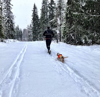 Hvilke faktorer avgjør utholdenheten?